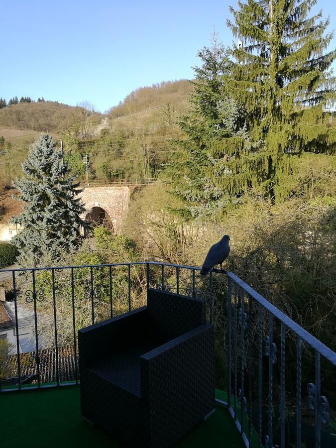 Gaestehaus Spies Bullay Buitenkant foto