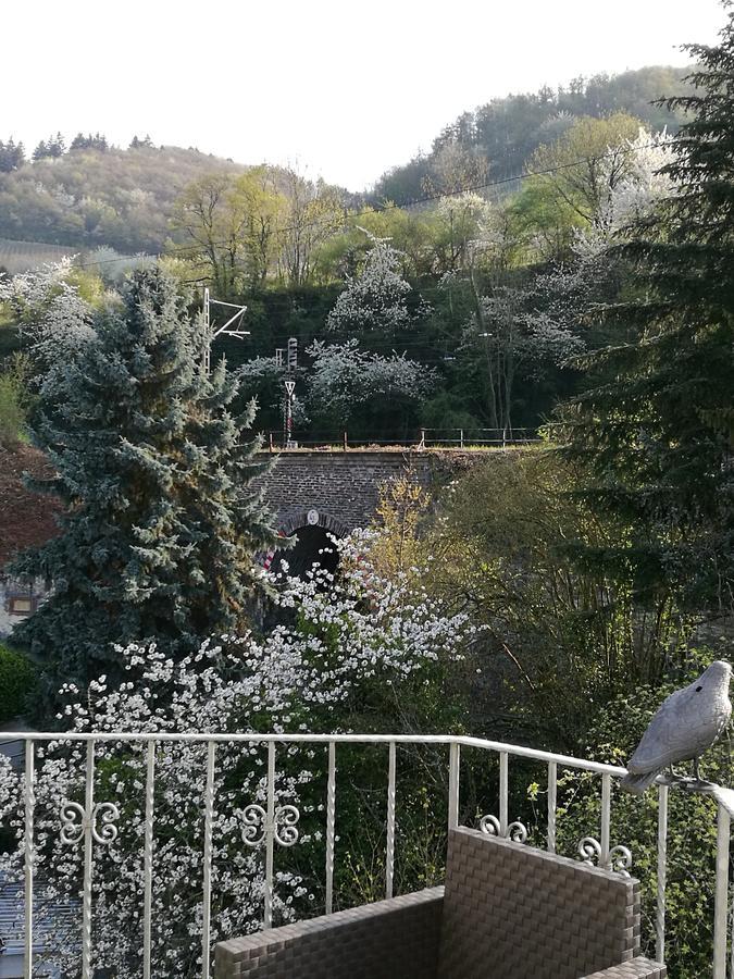 Gaestehaus Spies Bullay Buitenkant foto